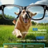 LIGE New Camera SunGlasses 800w Pixel Camera Recording Noise Reduction Ai Recognition Translation Anti Blue Light Smart Glasses