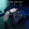 Scfb8d30a904140e0be19f4946d3ccc4eM.webp GameSir T4 Nova Lite Wireless Gamepad Game Controller for Switch, Android, IOS, PC & Steam Games Hall Effect Stick